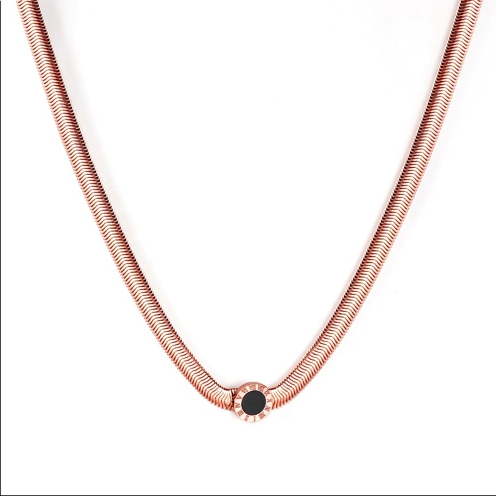 NWT rose gold pendent chain with charm